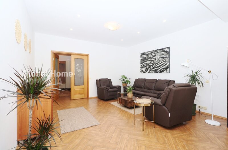 Sat Francez, Aron Cotrus, apartament 3 camere, 101 mp, 2005, Parc Herastrau.